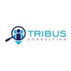 Tribus Consulting Ltd